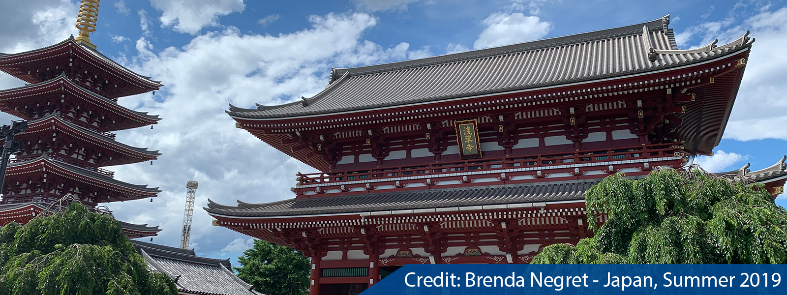 Brenda Negret - Japan, Summer 2019